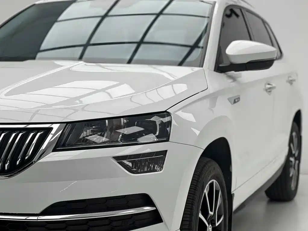 Skoda Karoq TSI280 Premium Edition, фото 4