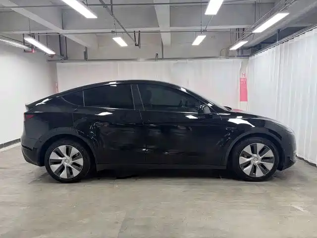 Tesla Model Y — миниатюра 6