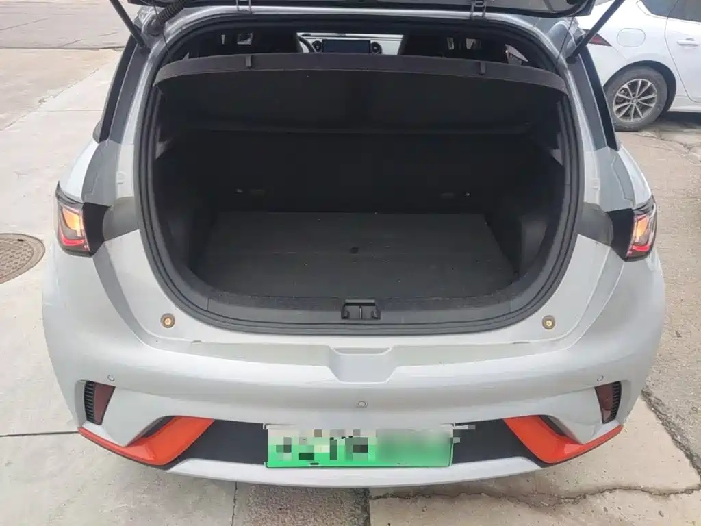 BYD Dolphin — миниатюра 19
