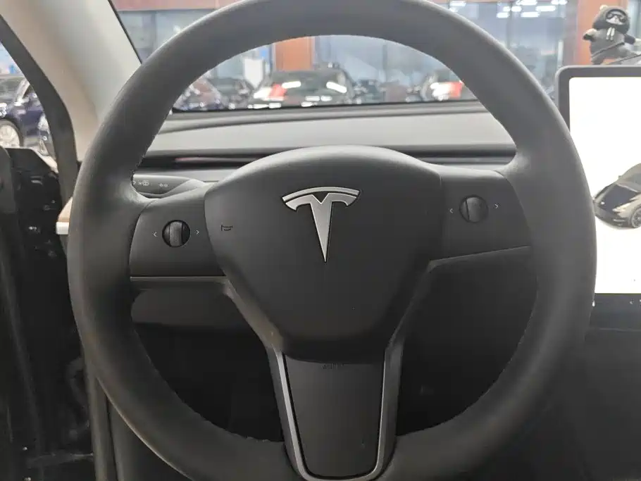Tesla Model Y — миниатюра 15