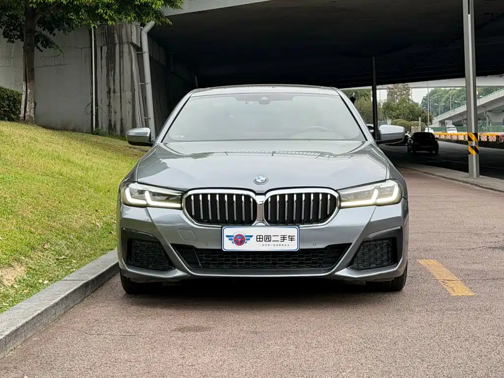 BMW 5 Series (Import) — миниатюра 2