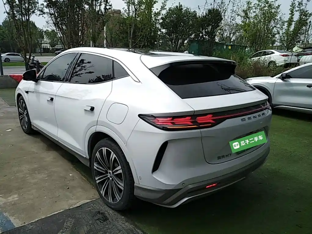Denza Denza N7 — миниатюра 5