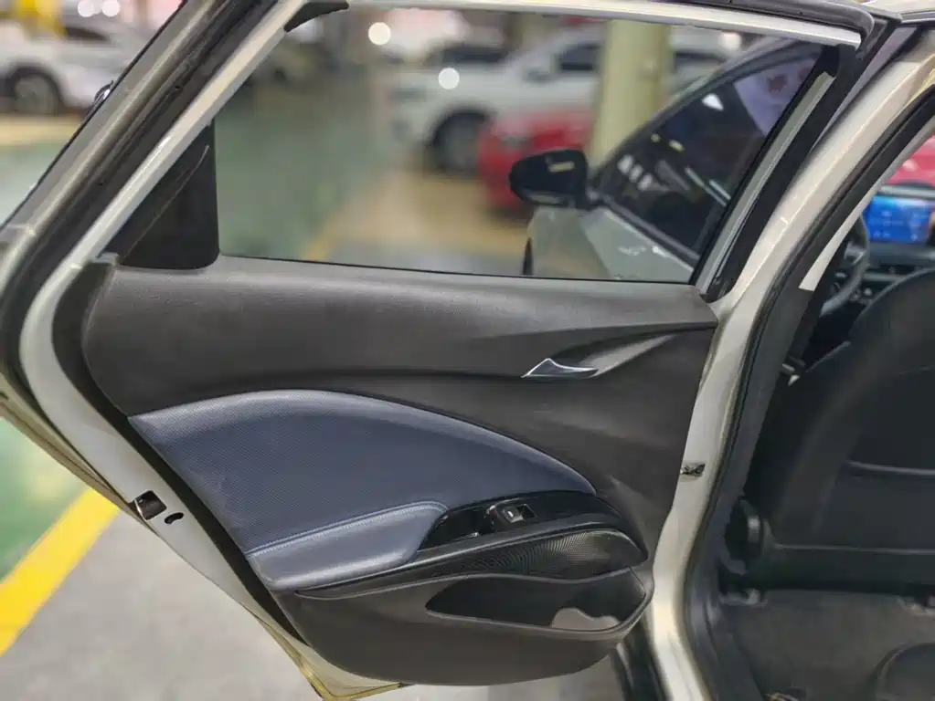 BUICK SLIGHTLY BLUE 6