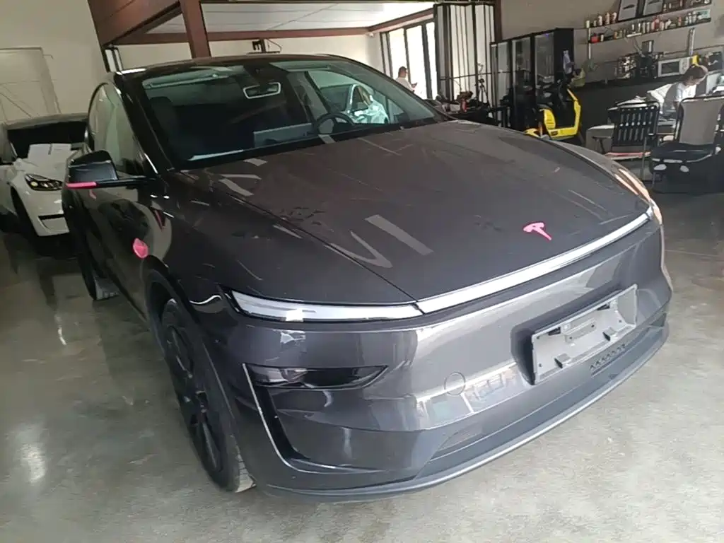 Tesla Model Y — миниатюра 4