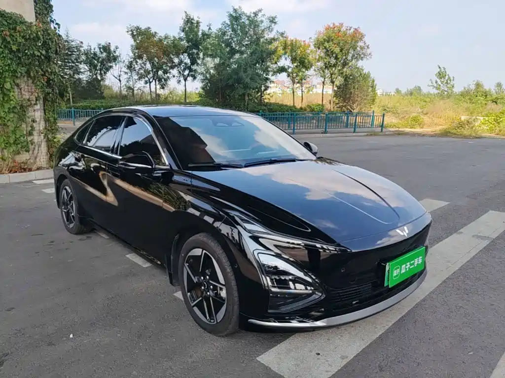 Wuling Xingguang — миниатюра 4