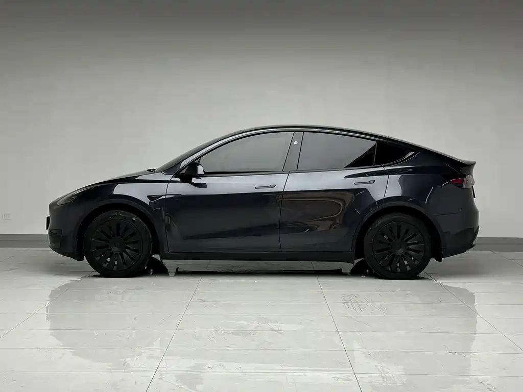 Tesla Model Y — миниатюра 5