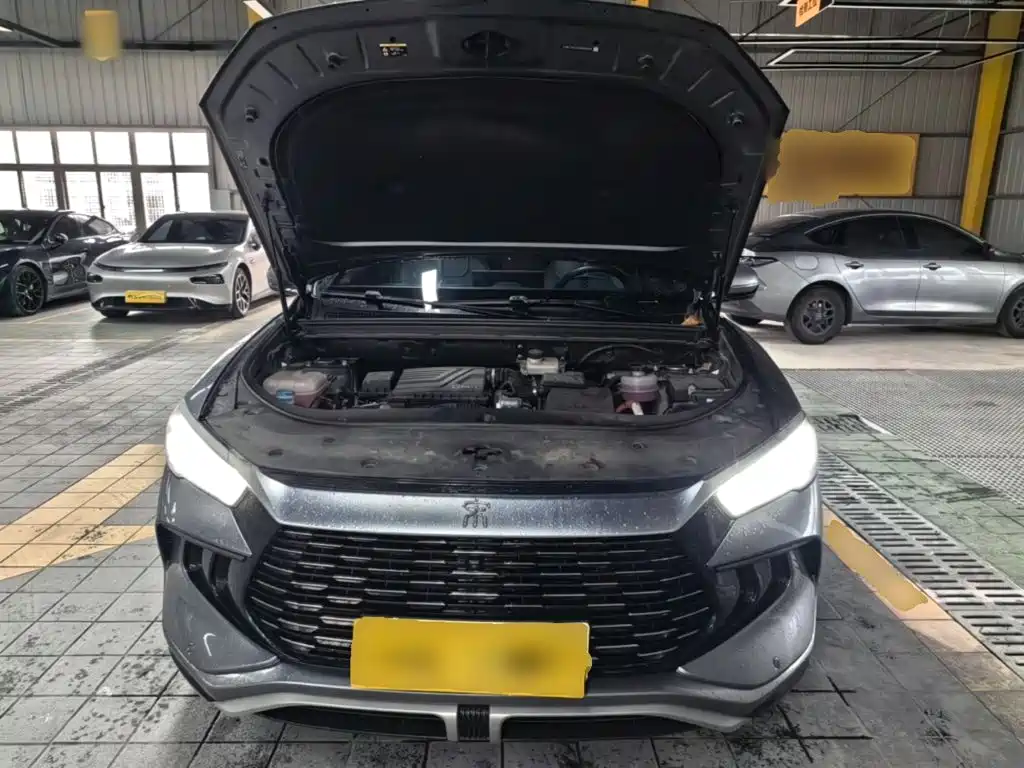 BYD Song Pro DM-i 2024 — фото 19