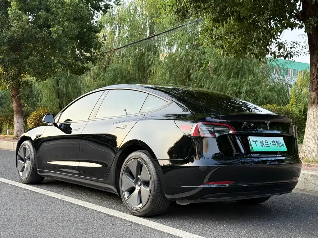 Tesla Model 3 — миниатюра 3