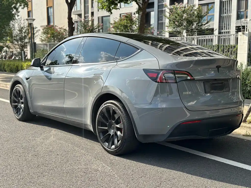 Tesla Model Y — миниатюра 4