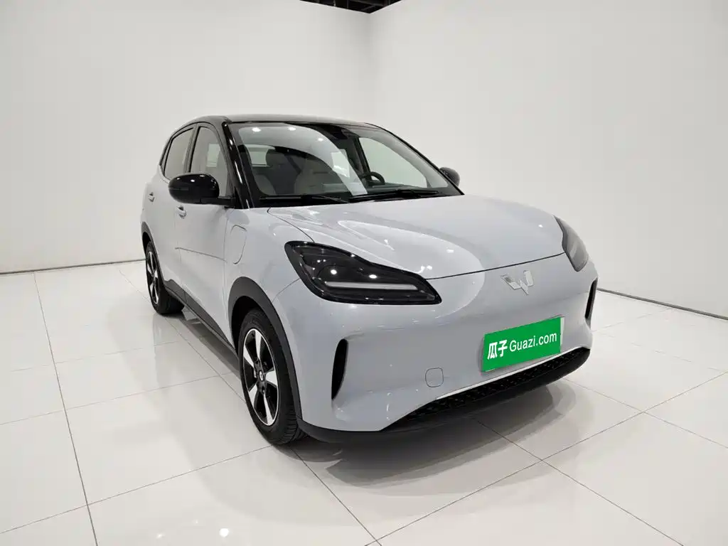 Wuling BinguoPLUS PLUS 2024 510km мест