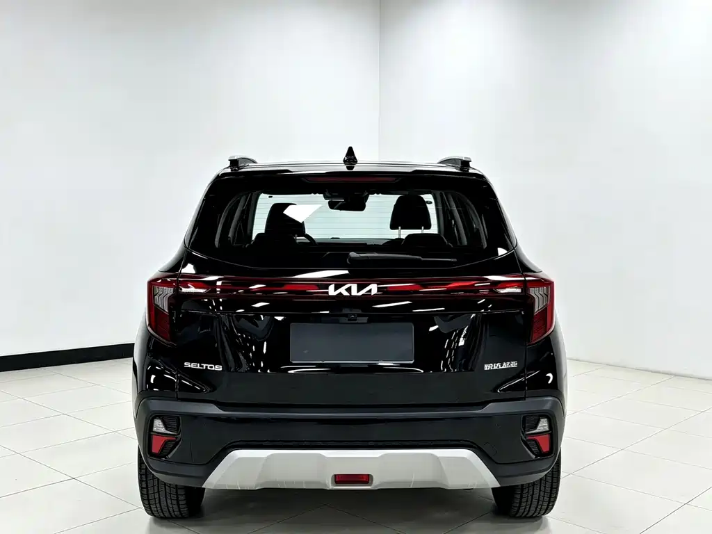 Kia Seltos — миниатюра 5