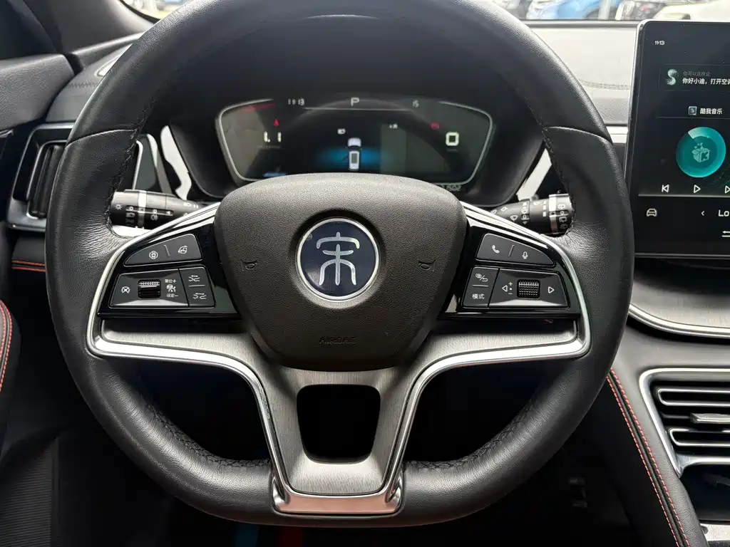 BYD PLUS — миниатюра 15