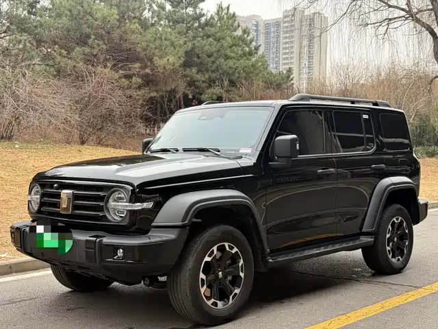 TANK TANK 300 NEW ENERGY 2025