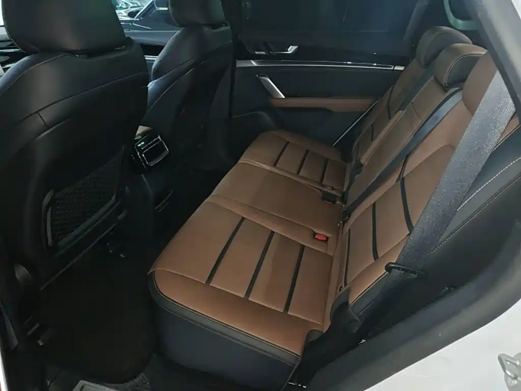 BYD Tang New Energy — миниатюра 17