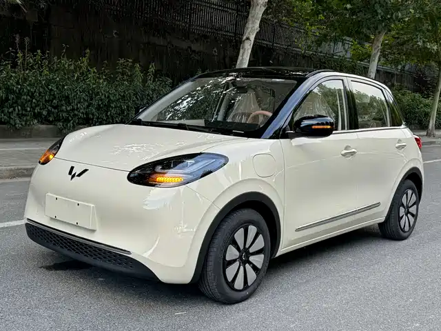 WULING AUTOMOBILE WULING BINGGUO 2025