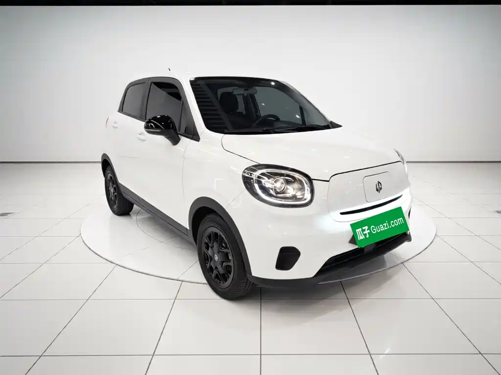 Leapmotor T03 2025 310