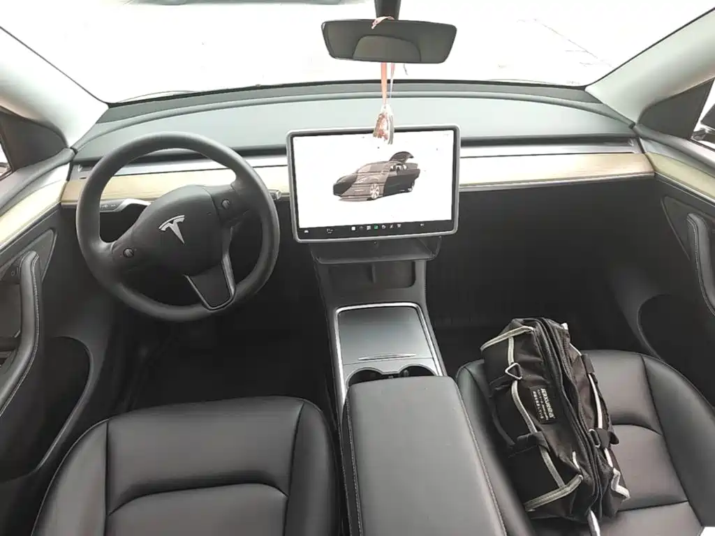 Tesla Model Y — миниатюра 10