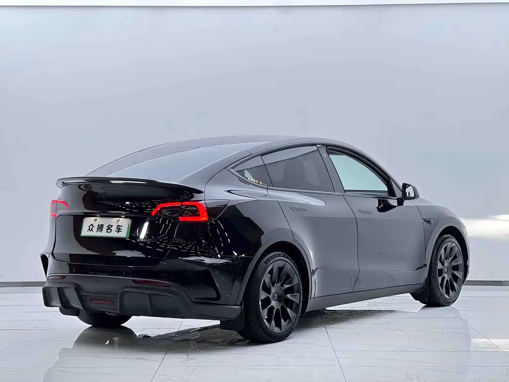 Tesla Model Y — миниатюра 4