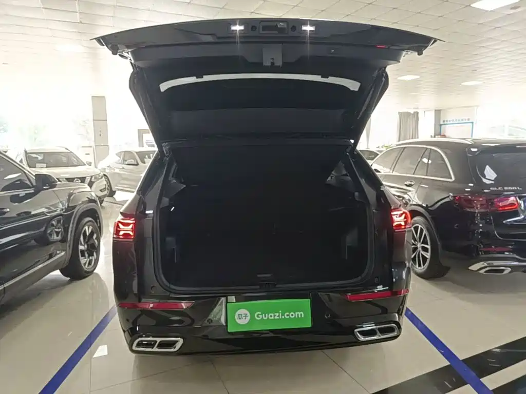 Volkswagen Tavendor — миниатюра 19