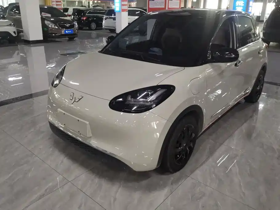 Wuling Bingo