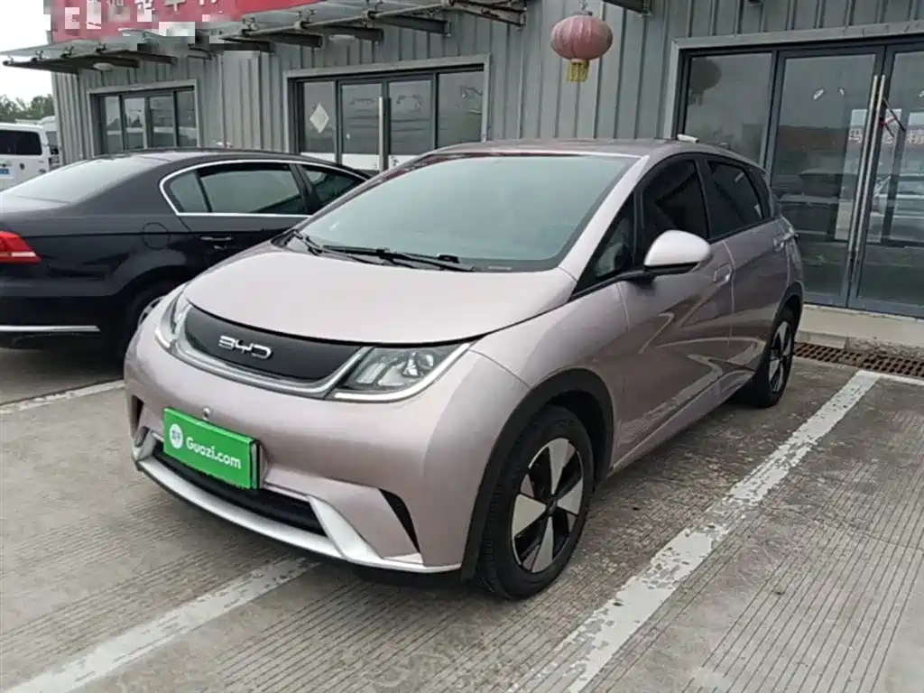 BYD Dolphin 2023 420km Freedom