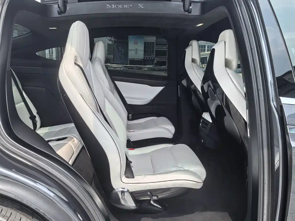 Tesla Model X — миниатюра 11