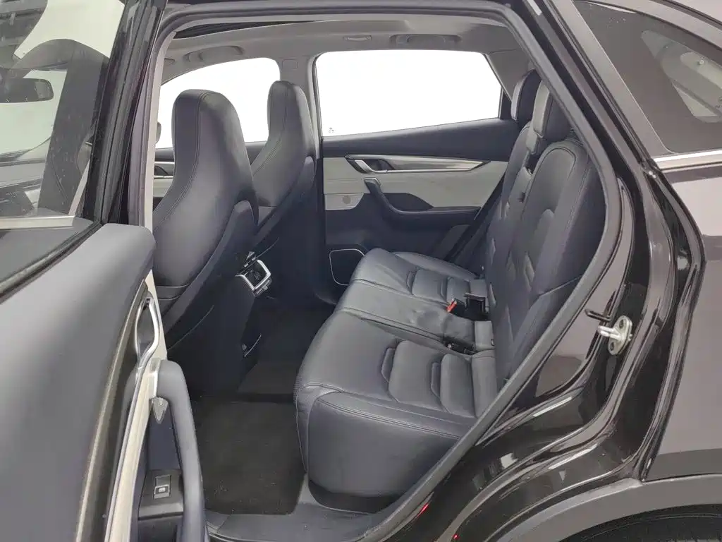 WM Motor EX5 — миниатюра 15