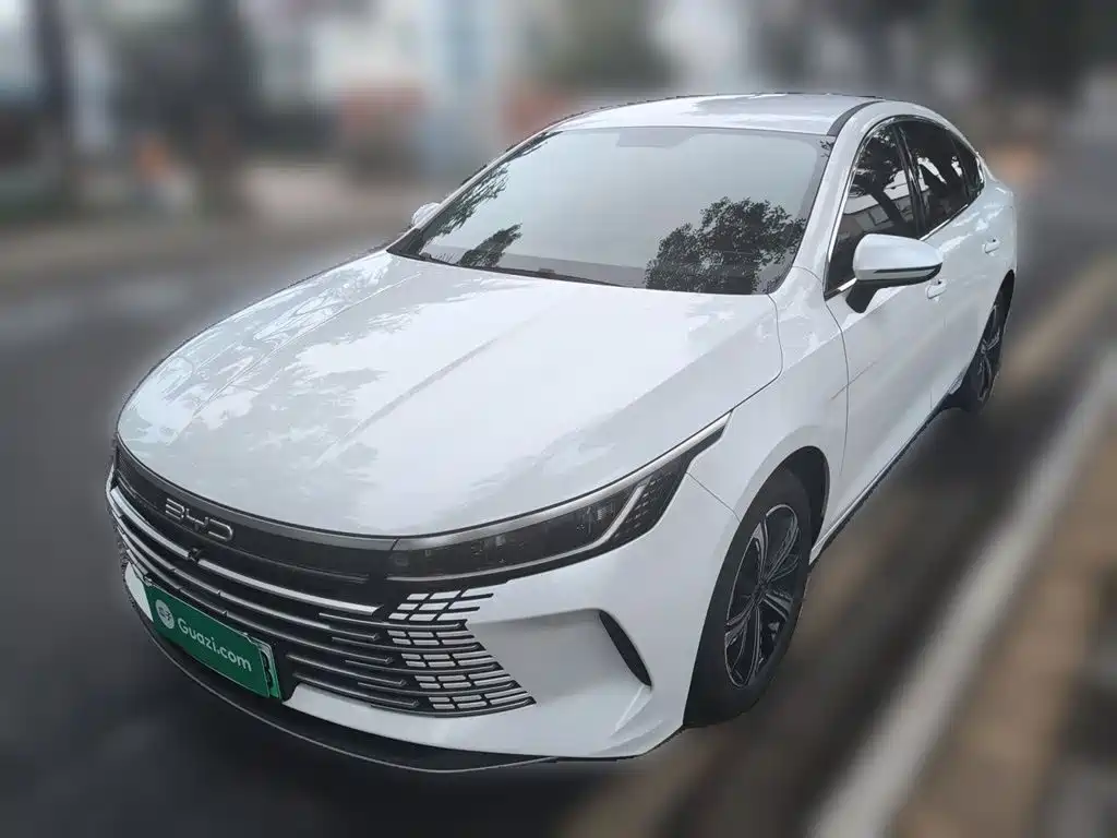 BYD Destroyer 05