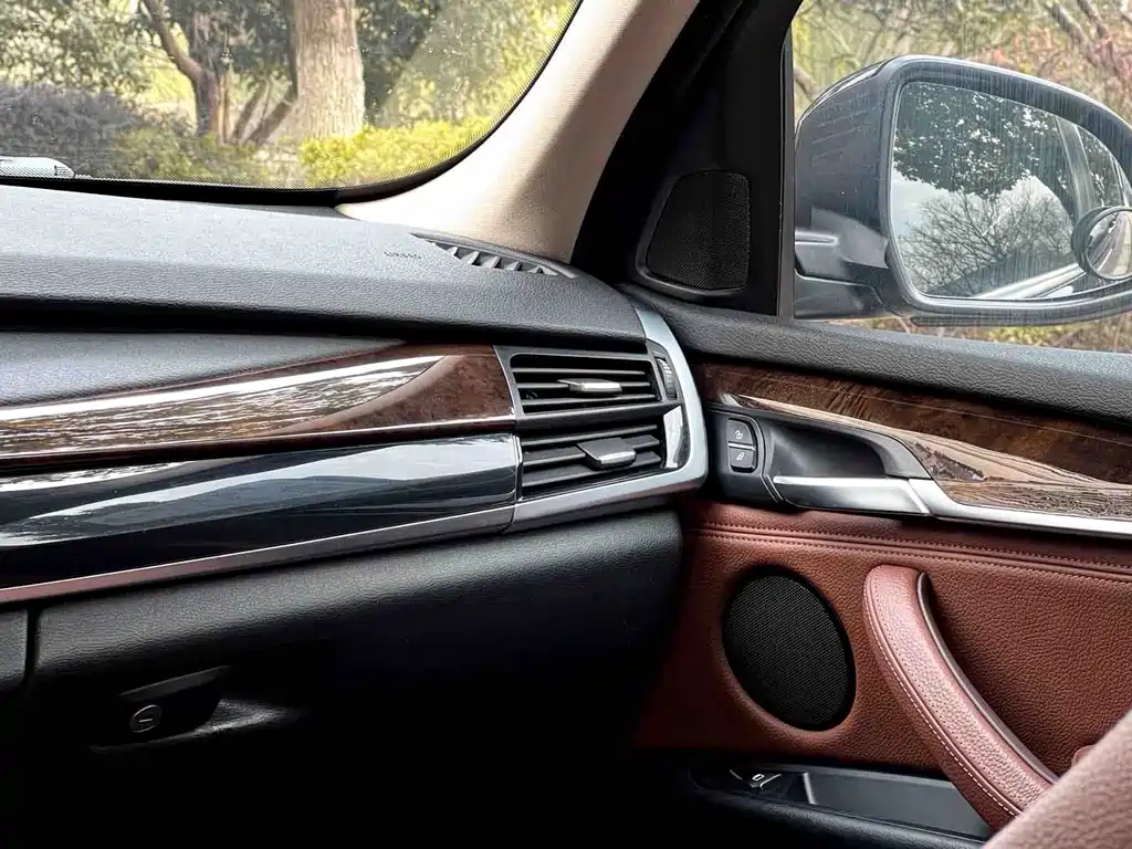 BMW X5 (Import) — миниатюра 11