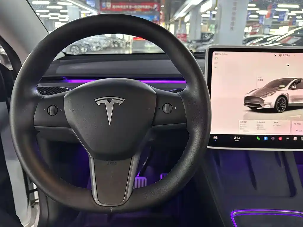 TESLA MODEL Y