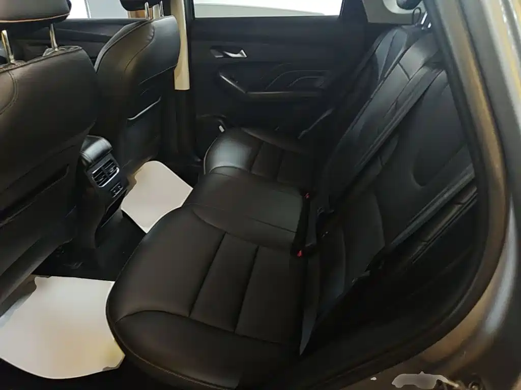 Haval Chitu — миниатюра 17