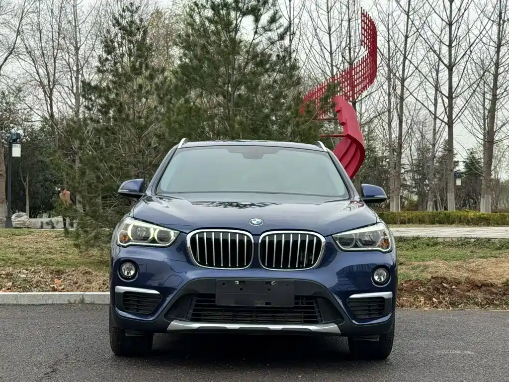 BMW X1 — миниатюра 24