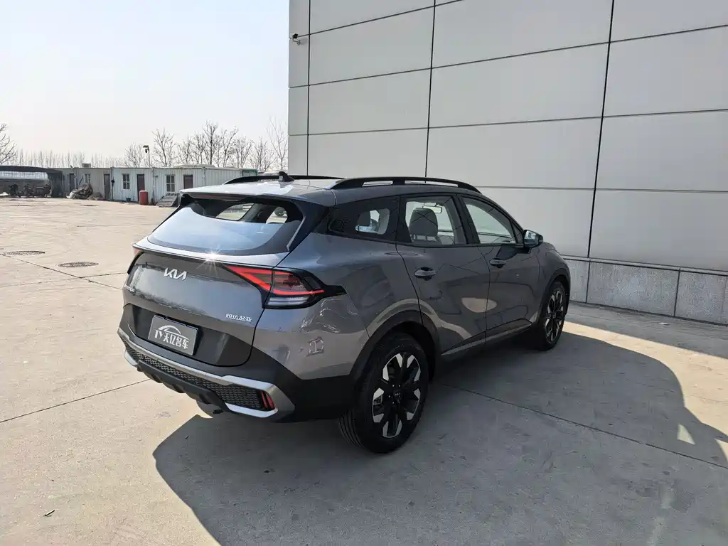 KIA LION PLATINUM EXPANDS THE WORLD