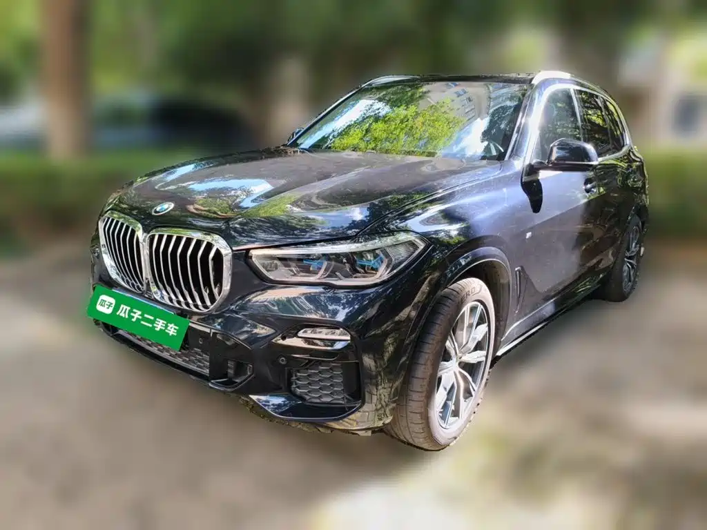 BMW X5 (Import) — миниатюра 2