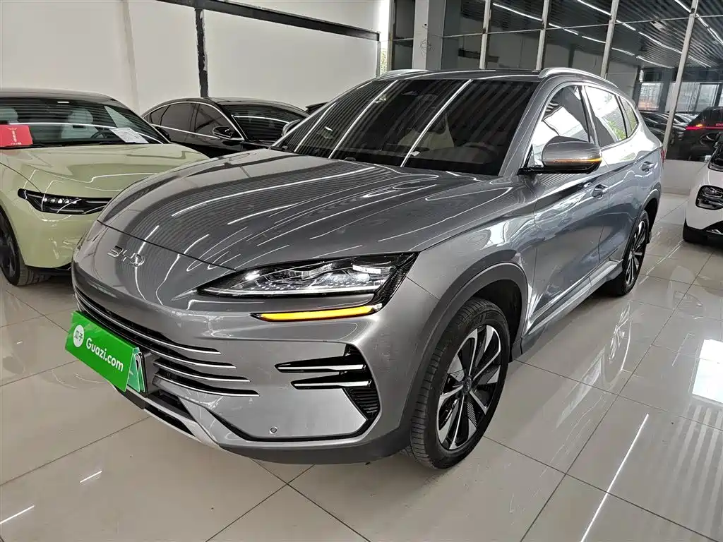 Byd PLUS New Energy 2024