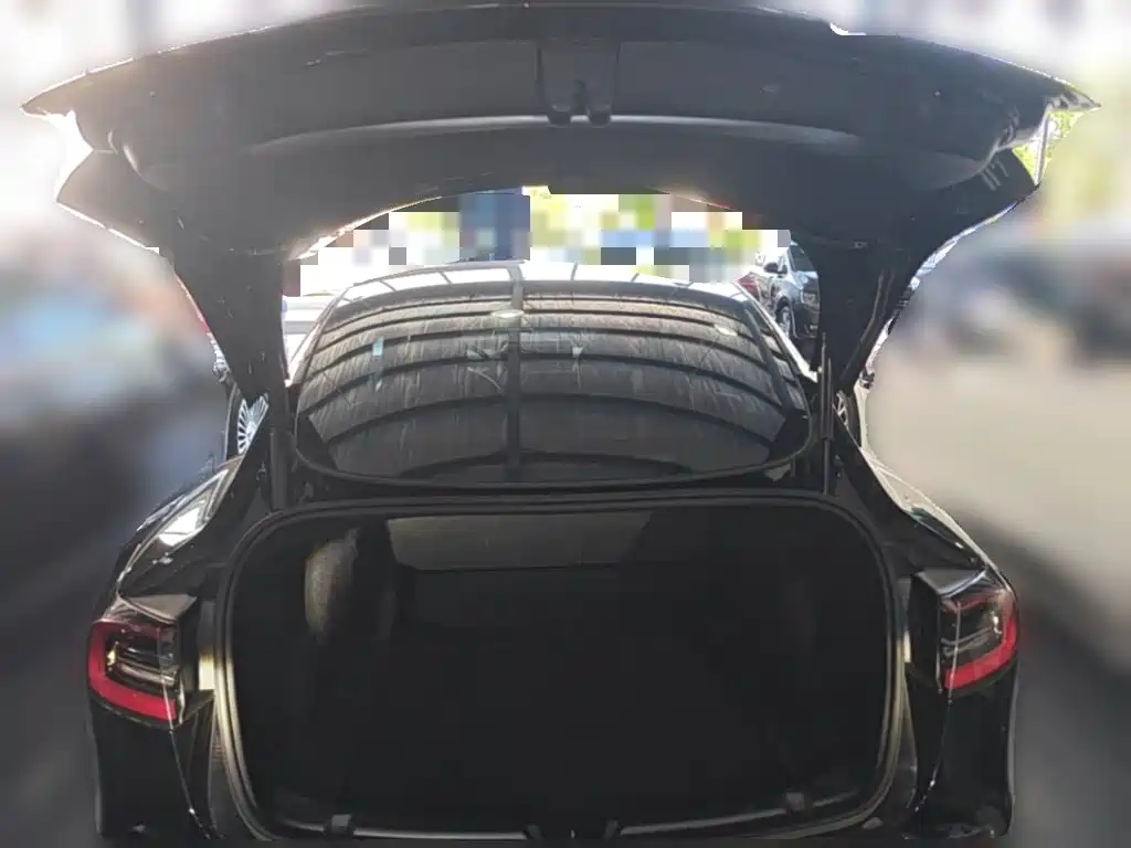Tesla Model 3 — миниатюра 24