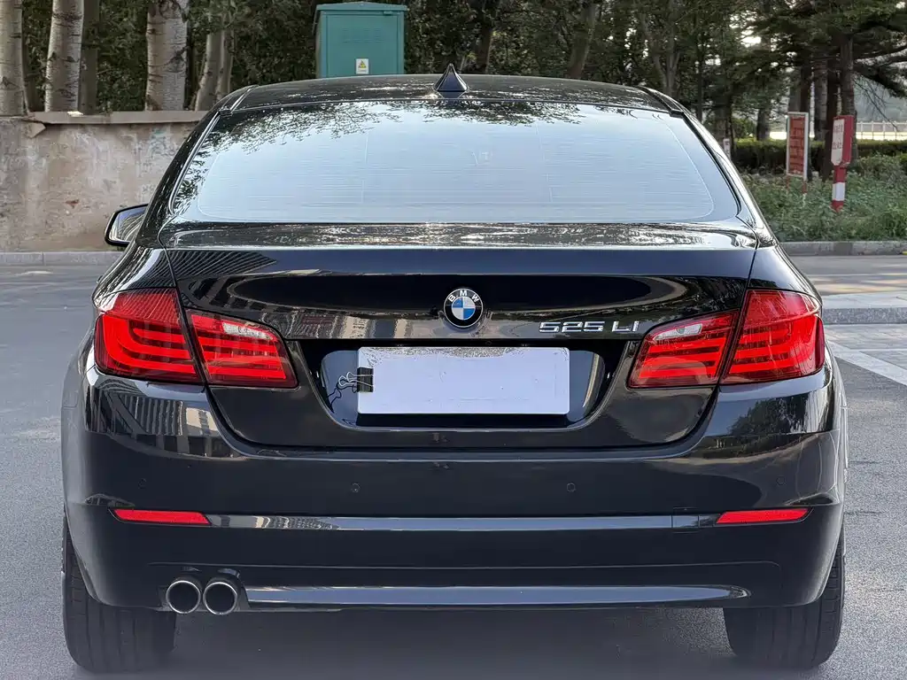 BMW 5 Series — миниатюра 5