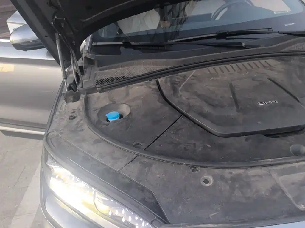 BYD PLUS New Energy — миниатюра 19