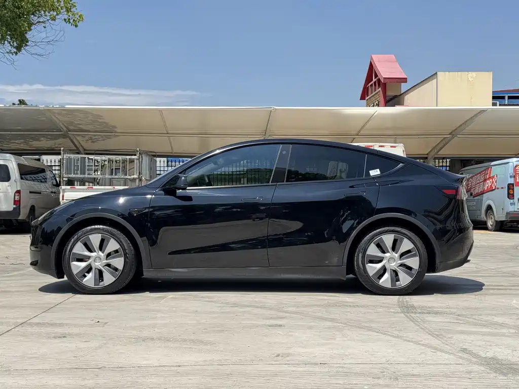 Tesla Model Y — миниатюра 4