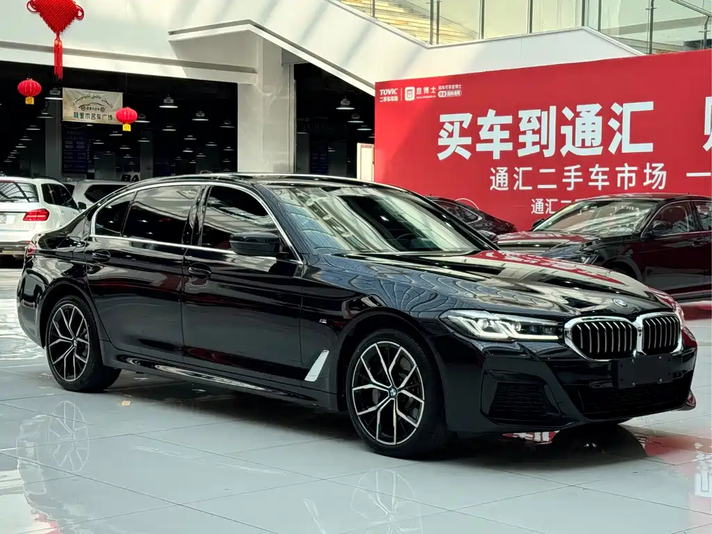 BMW 5 Series — миниатюра 3
