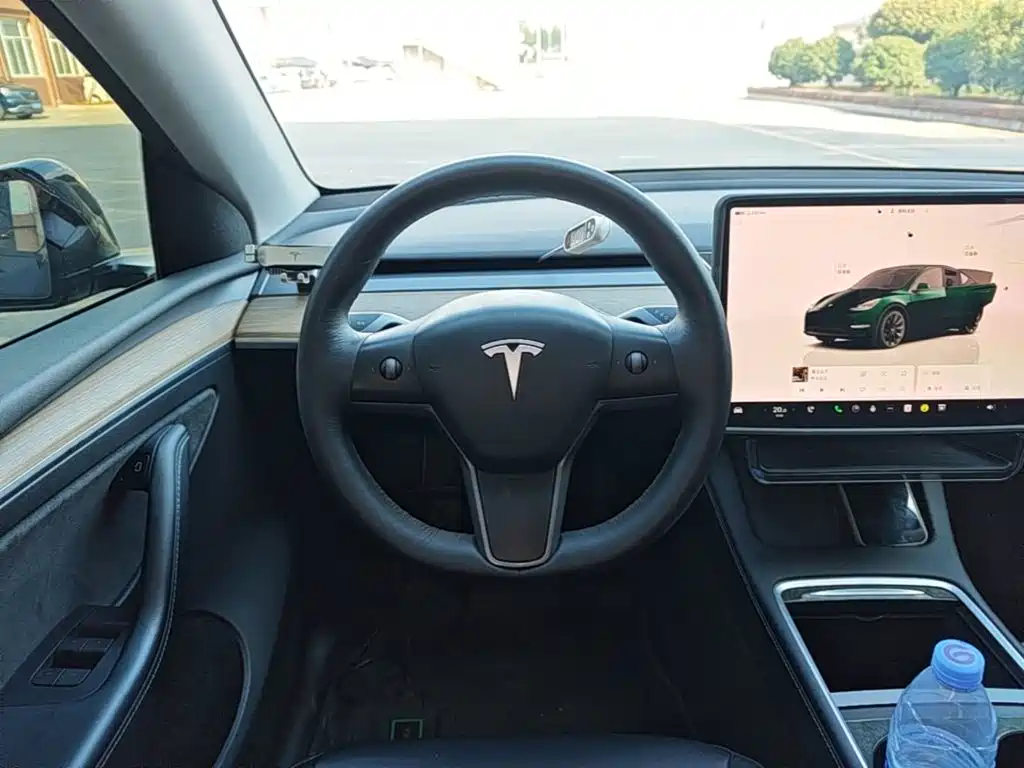 Tesla Model Y — миниатюра 11