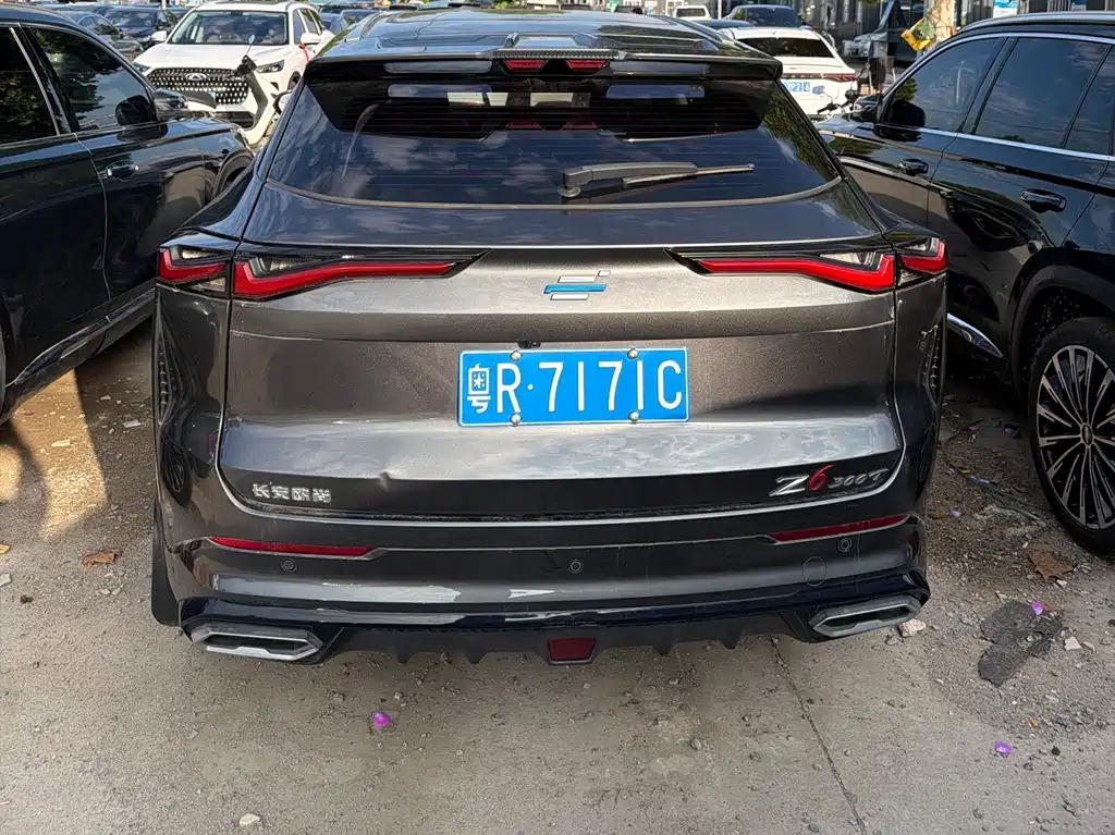 Oshan Oushang Z6 — миниатюра 9