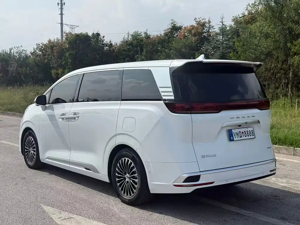 Denza Denza D9 — миниатюра 12