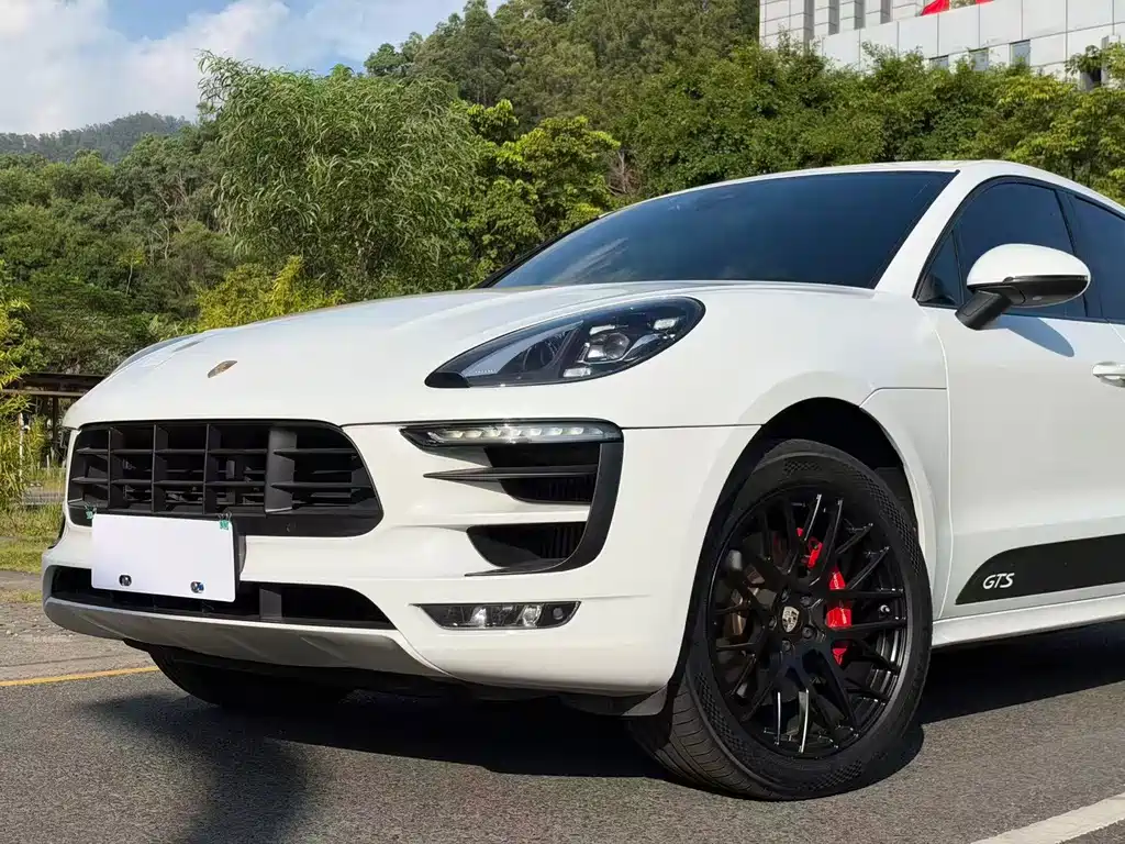 Porsche Macan — миниатюра 19
