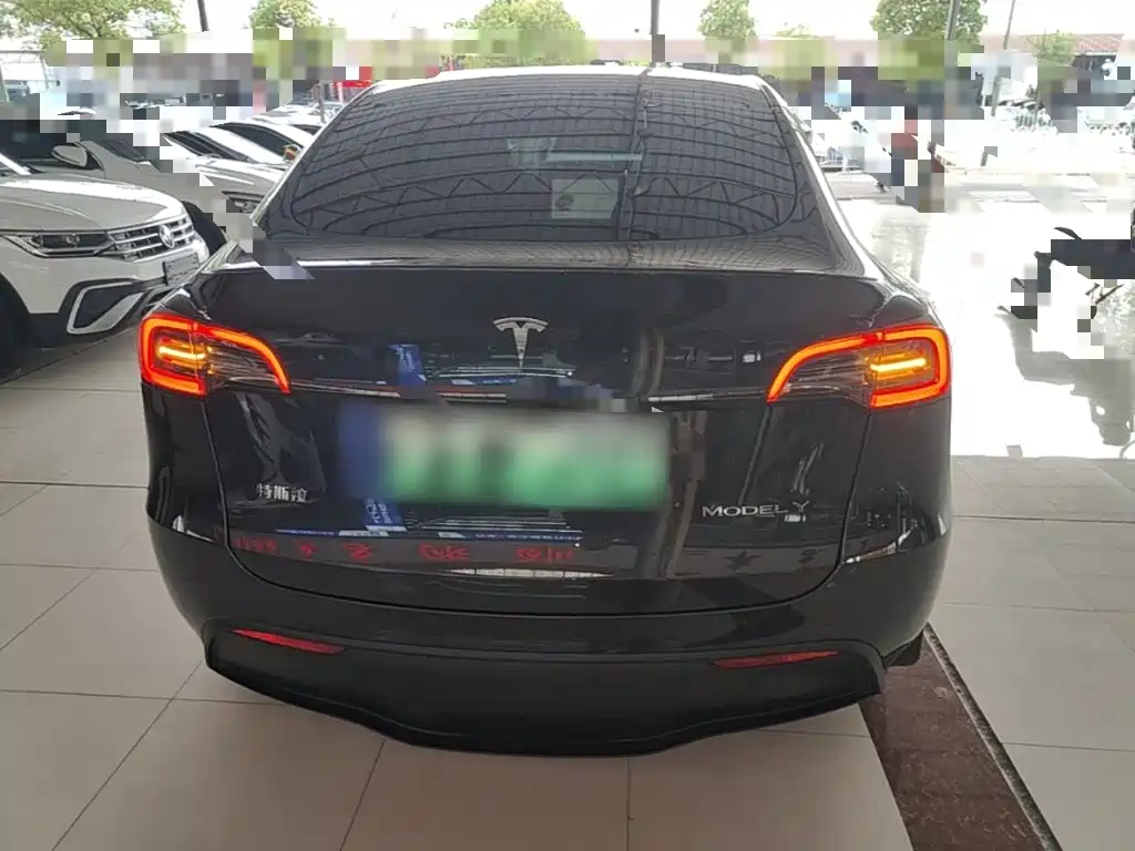 Tesla Model Y — миниатюра 6