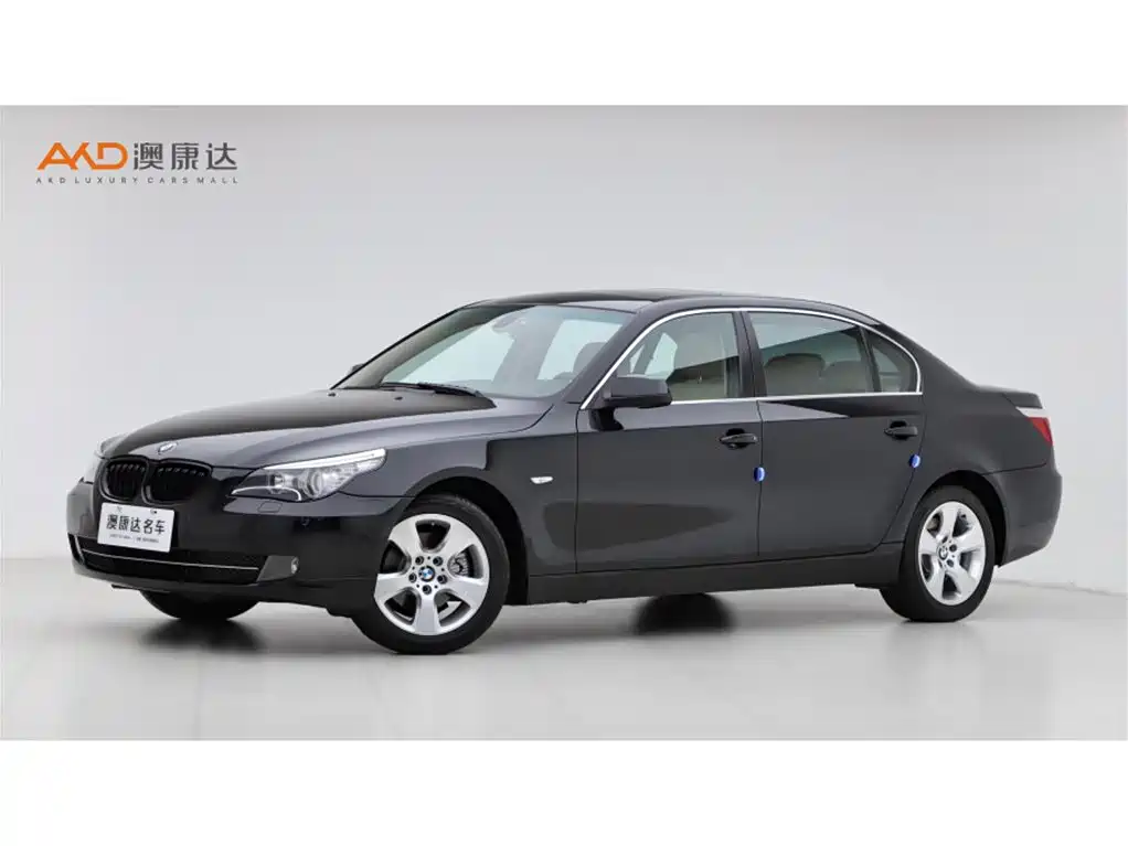 BMW 5 Series 2009