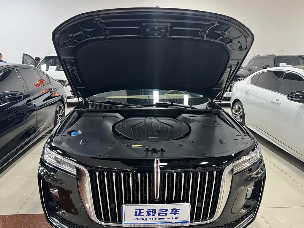 Hongqi HONGQI H9