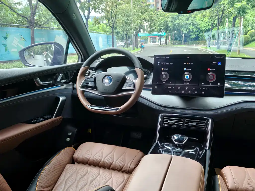 BYD Tang New Energy — миниатюра 7