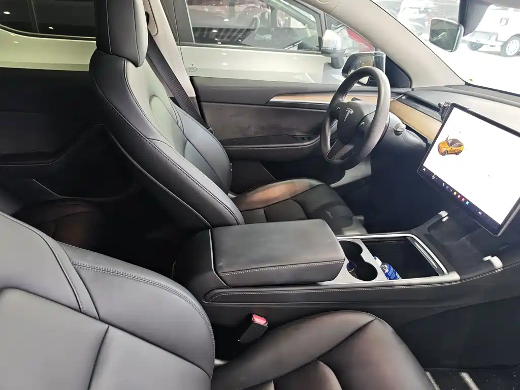 Tesla Model Y — миниатюра 4