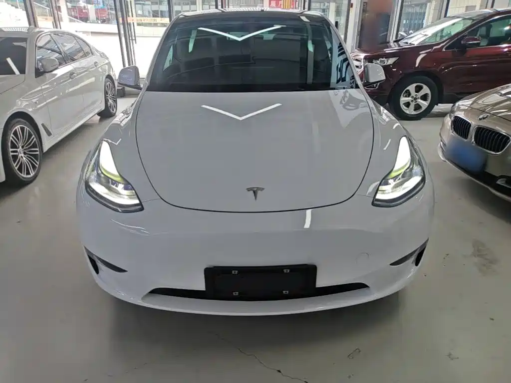 Tesla Model Y — миниатюра 3